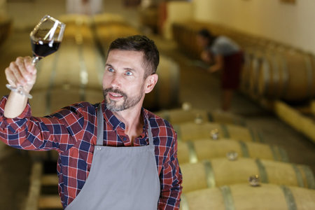 winemaker tasting red wine in cellarの写真素材
