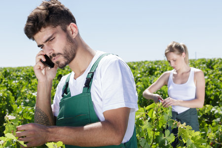 vintner talking on mobile phone in vineyardの写真素材
