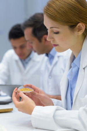 female laboratory assistant in the laboratory of food qualityの写真素材