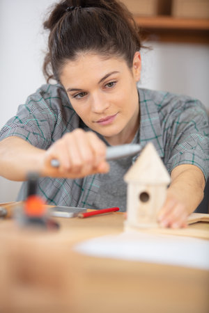 carpenter building a wooden nesting boxの写真素材