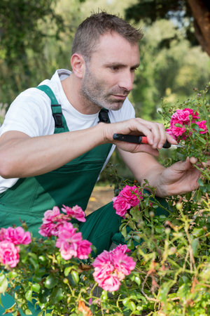 man cutting some flowers with a garden tool
