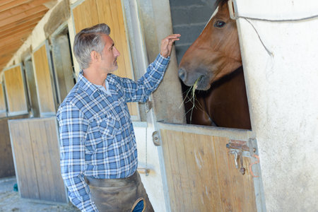 Man petting horse in stableの写真素材