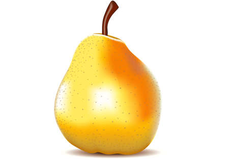 detailed illustration of a Yellow Pear Isolated on Whiteのイラスト素材