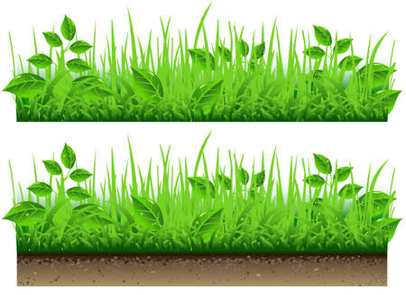 Detailed illustration of a Grass Borderのイラスト素材