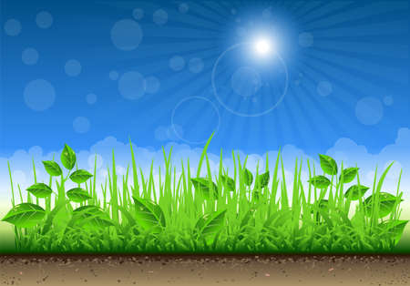 Grass Border On Clear Sky Backgroundのイラスト素材