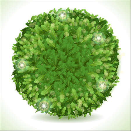 Detailed illustration of a Holly Leaves Circle Placeholder Isolated on Whiteのイラスト素材