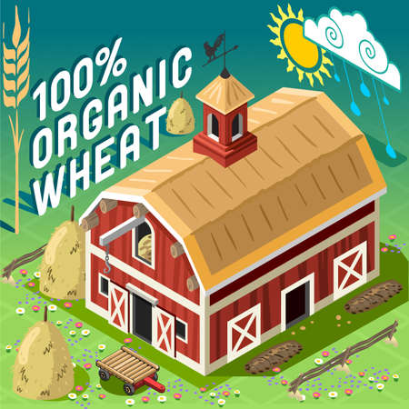 Isometric High Quality Farming 100 Organic Cereals. American Traditional Old Barn 3d Infographic Icon Vector Set. Rural Farm With Sheafs of Wheat.のイラスト素材