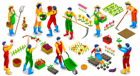 Isometric farmer people 3D icon set collection vector illustration. Farm field scene seed plant gardening toolのイラスト素材