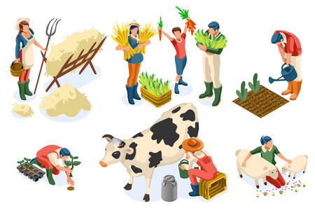 Flat tractor set. Farmer, agricultural worker with plant, chicken, sheep, rabbit, cow, milk, fruit or feeding farm animal. Harvest man with apple. Girl isometric images isolated on white background.のイラスト素材