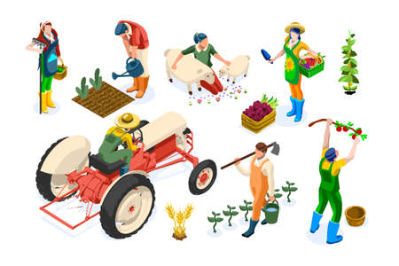 Farm worker production on planting or animals. Working organic farmer on tractor, agricultural people and fruits. Women on garden work harvest garden fruit. Agricultural worker farmer working on plantのイラスト素材