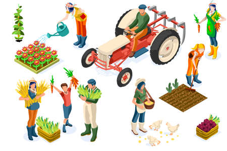 Farm worker production on planting or animals. Working organic farmer on tractor, agricultural people and fruits. Women on garden work harvest garden fruit. Agricultural worker farmer working on plantのイラスト素材