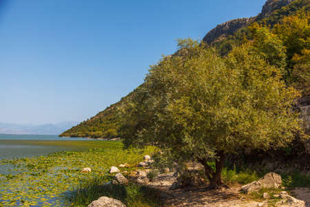 Skadar lake national park, Montenegroの写真素材