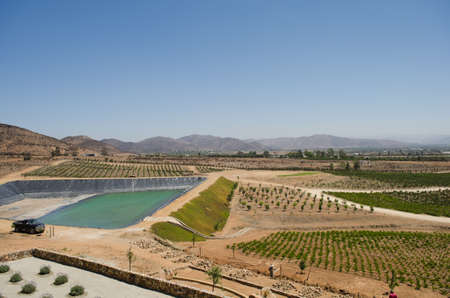ENSENADA, BAJA CALIFORNIA, MEXICO- MARCH 21, 2015: View of a vineyard at Valle de Guadalupe. Ensenada, Baja California, MÃ©xico. 90% of Mexico's wine comes from this regionのeditorial素材