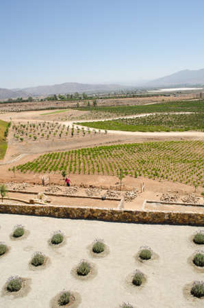 ENSENADA, BAJA CALIFORNIA, MEXICO- MARCH 21, 2015: View of a vineyard at Valle de Guadalupe. Ensenada, Baja California, MÃ©xico. 90% of Mexico's wine comes from this region.のeditorial素材