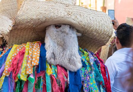 OAXACA, OAXACA, MEXICO- JULY 6, 2019: Man dressed as tiliche, traditional costume from Putla, Oaxaca, during the Convite, a party made for invite to a big traditional party called Guelaguetza in Oaxaca, Mexicoのeditorial素材