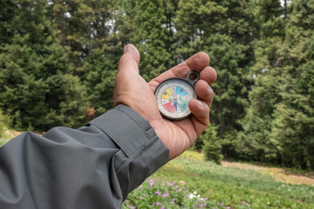 Man's hand holding a compass at the forest. Trip at the forest