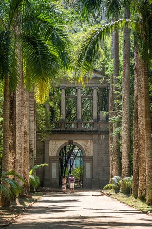 RIO DE JANEIRO, BRAZIL- OCTOBER 14, 2019: Tourists standing at the Palm alley in The Botanical Garden in Rio de Janeiro Brazilのeditorial素材
