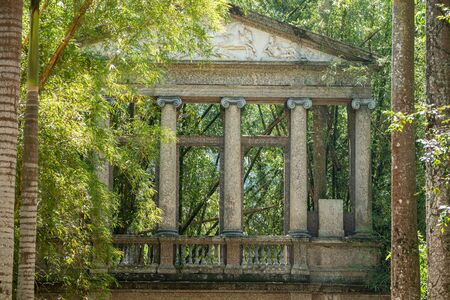RIO DE JANEIRO, BRAZIL- OCTOBER 14, 2019: Avenue of royal palm trees at botanical garden in Rio de Janeiro, Brazilのeditorial素材