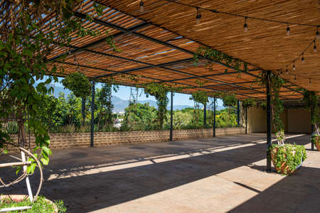 OAXACA, OAXACA, MEXICO- DECEMBER 24, 2021: Beautiful and big terrace with plants and little spotlights in a sunny dayのeditorial素材