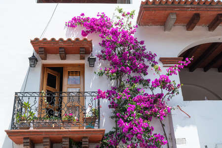 TEOTITLAN DEL VALLE, OAXACA, MEXICO- MAY 23, 2022: Wooden window and pink bougainvillea at a white and typical house in Teotitlan del Valle, Oaxaca, Mexicoのeditorial素材