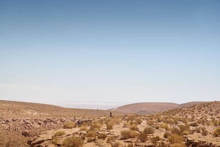 Tatio Geysers early morning at San Pedro de Atacama, Antofagastaの写真素材