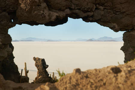 Captus and the Uyuni salar desert. South of Bolivia.の写真素材