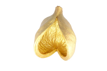 Golden Friutの写真素材