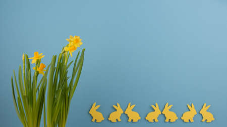 Happy Easter concept. Wide banner with yellow daffodils and paper bunny on blue background. Copy space. Paper cut.の写真素材