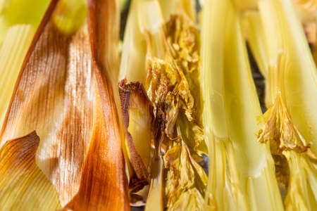 Closeup of roasted celery. Macro texture background. Healthy food background.の写真素材