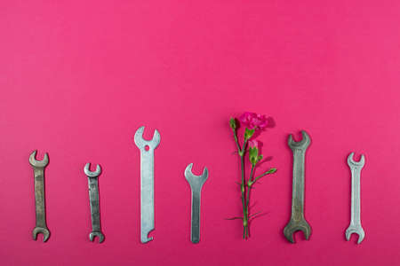 Labor Day background concept, 1 May concept. Wrench and clove pink carnation flower on pink background. Flat lay, top view.の写真素材