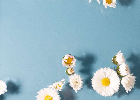Daisy flowers on blue background. Floral frame. Close up.の写真素材