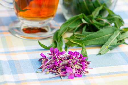 Fresh fireweed flowers and leaves with cup of  herbal tea on background.の写真素材