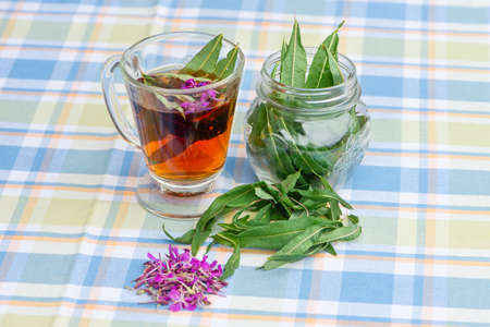 Cup of Fireweed herbal tea, fresh fireweed flowers and leaves. Alternative medicine.の写真素材