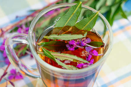 Cup of Fireweed herbal tea with fresh fireweed flowers on background. Close up.の写真素材