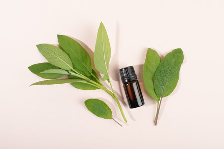 Cosmetic container and herbal sage leaves on light background flat lay top view. Cosmetics SPA...