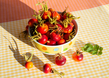Fruits wild Rose hips of Beach Rose (Rosa rugosa) in a bowl. Table with checkered tablecloths. Harsh...
