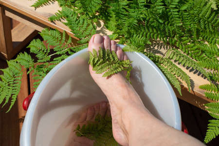 Healing foot bath with fern leaves extract.の写真素材