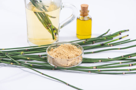 Water horsetail herb, horsetail oil, extract and glass of tea on white background.