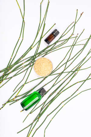 Water horsetail, swamp horsetail, Equisetum fluviatile, oil and extract on white background.の写真素材