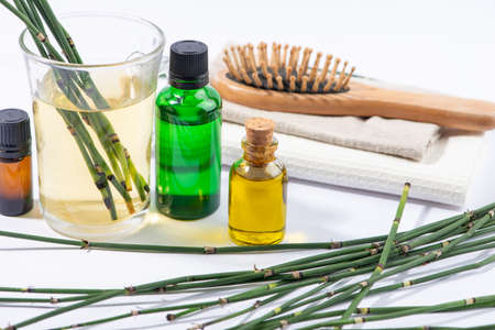 Water horsetail herb, horsetail oil, extract, glass of tea and hair brush close up.の写真素材