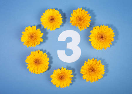 Number 3 surrounded with yellow gerbera flowers on blue background.の写真素材