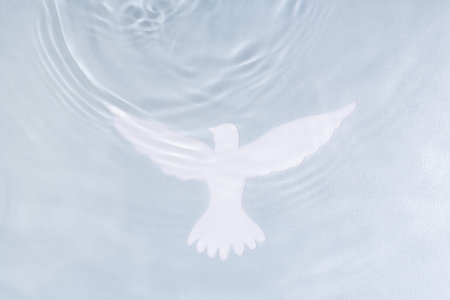 Silhouette of white dove on water background. Baptism symbol.の写真素材