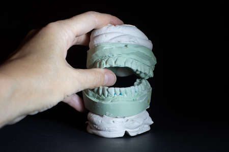 Hand holding Gypsum Dental model of human teeth.の写真素材