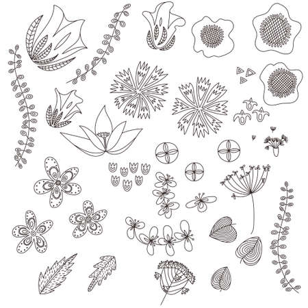 Hand drawn flowers set. Doodle line style.のイラスト素材