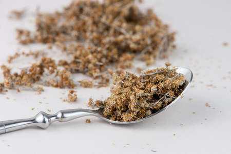 Spoon with dried wormwood herb isolated on white background.の写真素材