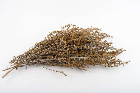 Dried Wormwood herb, Artemisia absinthium, isolated on white background.の写真素材