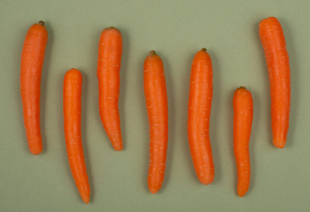 Top view of fresh carrots on green background. Flat lay.