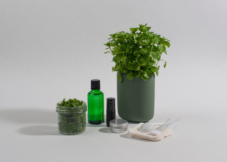 Common chickweed, Stellaria media, and containers for homemade cosmetics.