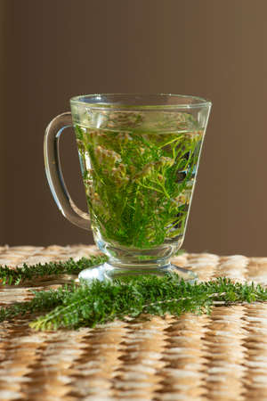 Glass of organic yarrow herb tea. Alternative medicine.の写真素材