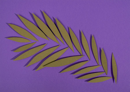 Paper palm leaves on purple paper backgroundの写真素材